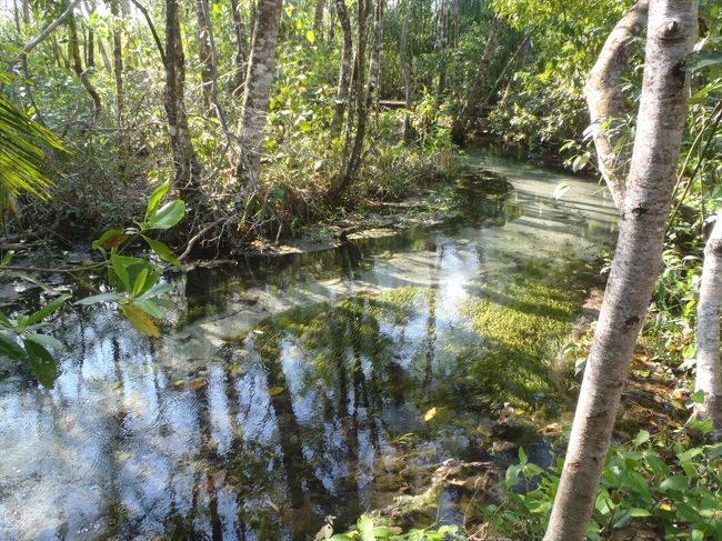 まずは歩きで湧水の川の始まりまで行きます。