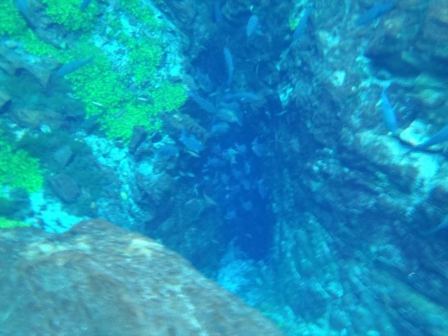 この岩の間から水が湧き出してます。<br /><br />なぜかこのには魚が群がってます。何か出てくるのか？？