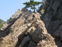 千貫松島

周囲・５０ｍ、高さ・１０ｍ

中央には、奥行き２０ｍの洞門があり、

頂上には見事な松が生えてます。