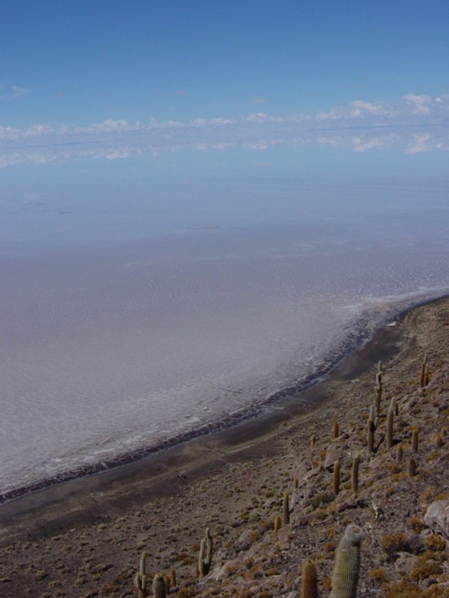 サボテンだらけの島で、天と地の融合を体験（ウユニ塩湖