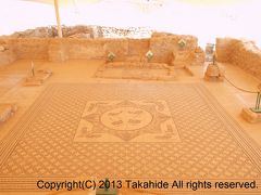 エン・ゲディ(???? ??????(Ein Gedi))

古代のシナゴーグ(???? ??????(Synagogue))跡に残るモザイクの床です。