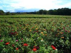 14：50　山中湖/花の都公園（無料エリア）

やっぱり富士山は拝めないので入り口で引き返します。


駐車場/300円
施設は有料エリアと無料エリアがあります。