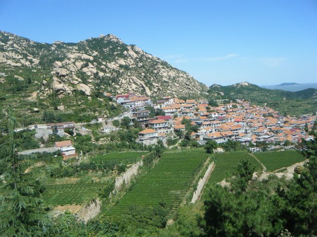 次のバスも右側が眺めが良く、イタリアを彷彿させる家並みや、お茶の段々畑が、岩肌をむき出した地形とコンビネーションをなして見事です。