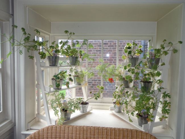 天気のいい日に，こんな所でお茶飲みながら読書したいなぁ。。