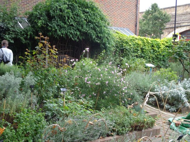 建物の裏の方に回ると，ハーブガーデンが有ります。