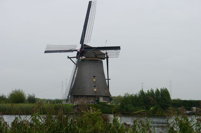 １基だけ中に入れます<br />