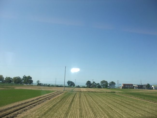 しらさぎからの田園風景。<br />ほとんどこんな風景です。<br />のんびりしてます〜。そうそう、出発してすぐに川を渡りまして、<br />その中州にほんもののしらさぎが何羽も！！綺麗でした。