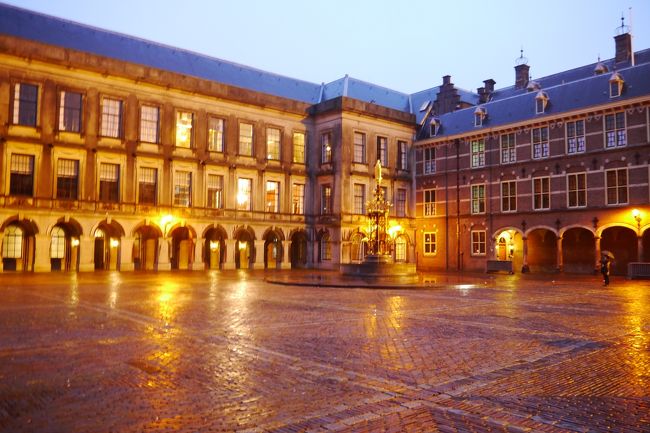 雨にけぶる夜景