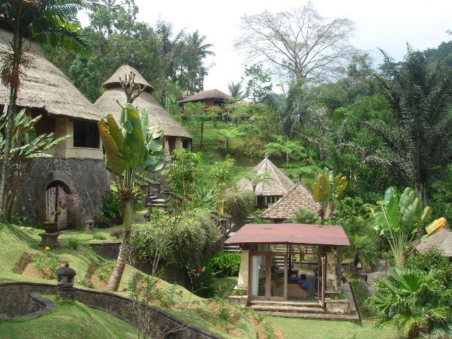 ホテルの中。<br />お部屋以外のロビーもスパも建物全部がこういう作りになっています。<br /><br />２日目は、ヨガとバリニーズダンスのプライベートレッスン、<br />アーユルヴェーダのシロダーラをやり、ホテル内でのんびり過ごしました。