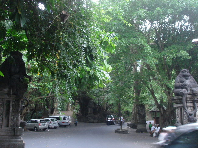 ウブドの街を一回り。ちょうど折り返し地点がモンキーフォレストです。<br />入口付近に来ると、おサルさんがいっぱいいて、日光みたい。<br />　<br />ウブド中心部は、地図で見るより、結構広いですね。<br />ちょこちょこお店寄りながらで、２時間くらいかかりました。