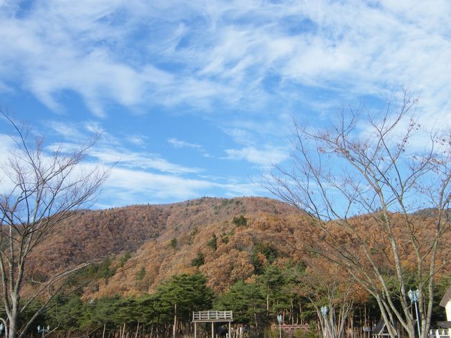 道の駅鳴沢の展望台。ここで蕎麦を食べながら富士山を眺めるのも良いものです。お土産はうどん玉がお奨め。スーパーで売っている袋入りのタイプでも、とても美味しいです。