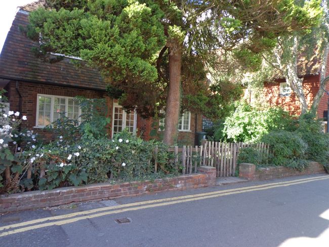 でもちょっと道を外れたらこんな感じ。