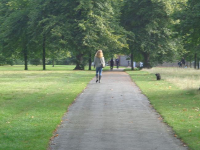 とにかく犬を散歩させている人がたくさん。