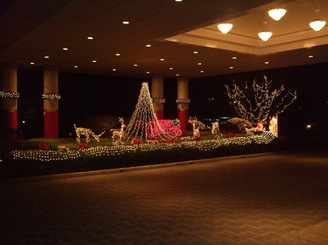 毎年この時期恒例のイルミネーション。