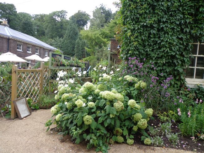 ケンウッドハウス自体がリノベーション中で、「ギターを弾く女」には会う事ができませんでした。