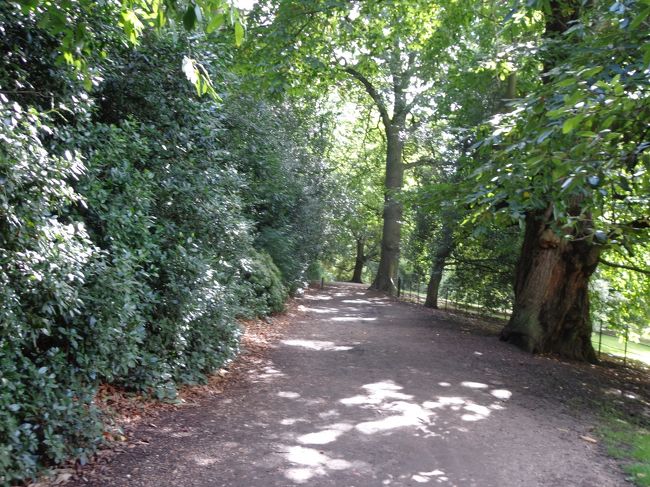 森林浴のお時間です。