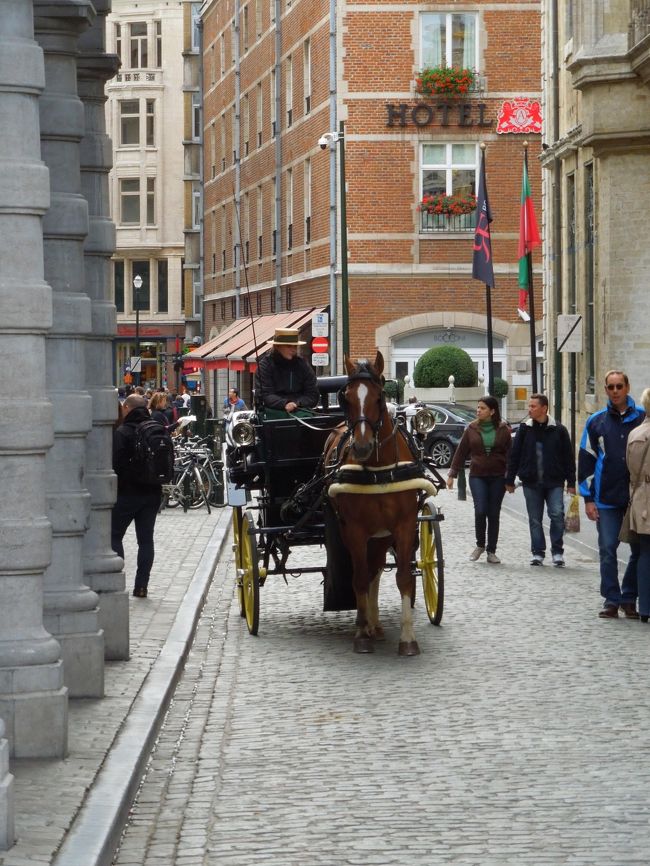 馬車が走ってます。<br />蹄の音がいいですね。