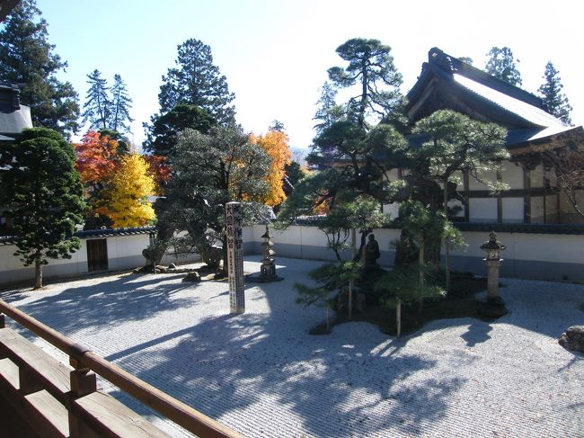 本堂の枯山水庭園。