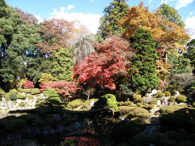 庭園中央部の眺め。