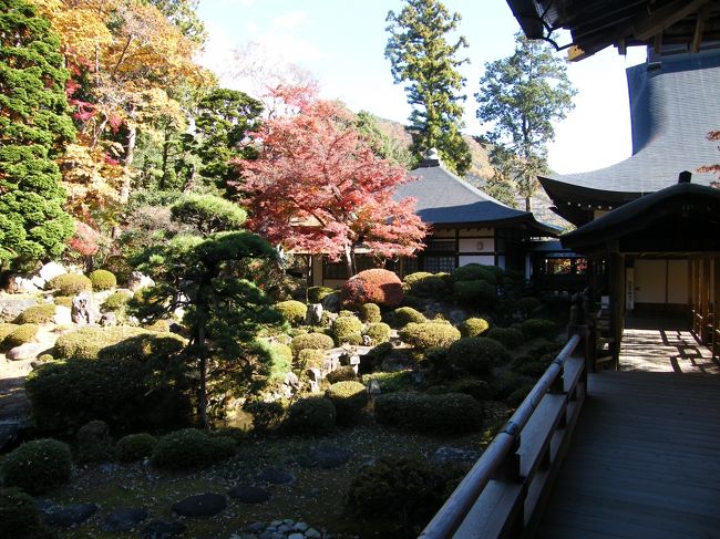 庭園向かって右の眺め。