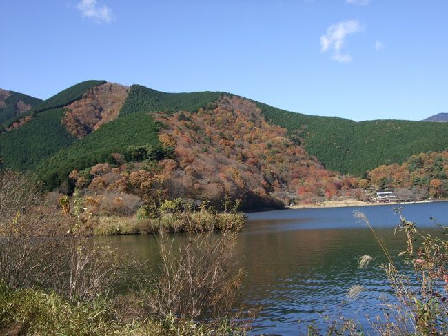 湖畔は緑と紅葉の対比が綺麗。