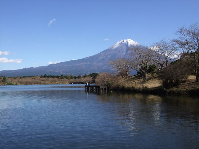 釣人が糸を垂れていました。