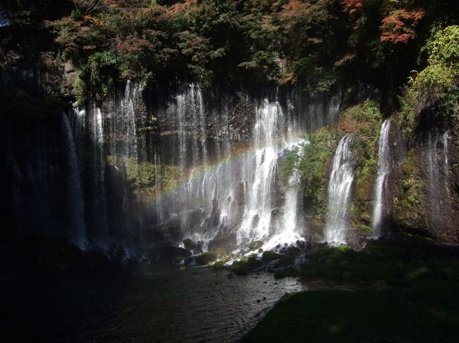 白糸の滝<br />１９９６年１０月以来１２年ぶりの白糸の滝と音止の滝。今回は鑑賞スポットを滝の上にしてみました。素人カメラマンで賑っていました。