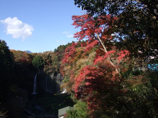 白糸の滝も素晴らしい眺めですね。軽井沢、鬼押出しの白糸の滝は女性的な美しさがありますが、富士のこちらは男らしさがあります。昨今では逆かも。二日間天候に恵まれ、もみじを堪能しました。