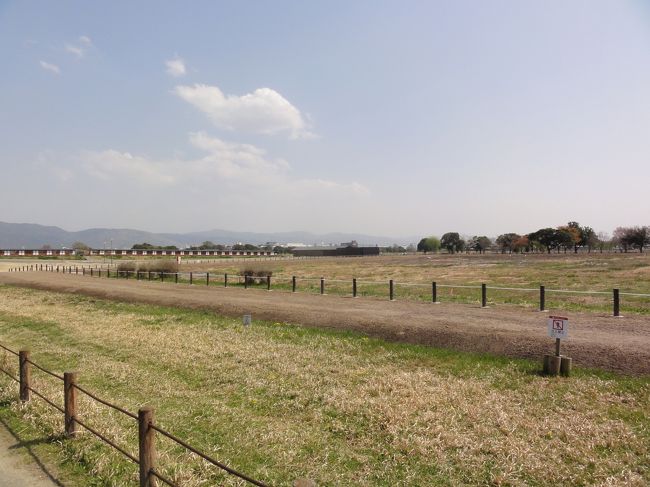 「平城宮跡」　は　「内裏」、「朝堂院」、「外朝」　から成っており、<br /><br /><br />「５ｍ」　程度の大垣で張り巡らされてました。<br /><br /><br />