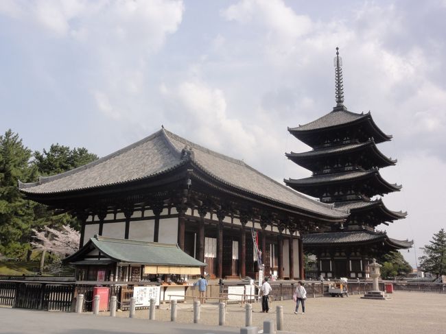 以前に拝観した　「東金堂（国宝）」　と　「五重塔（国宝）」　です。