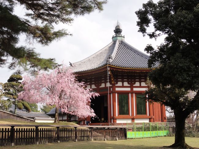 裏側から撮影。<br /><br /><br />現在の建物は　「１７８９年」　の　「再建（４度目）」　です。