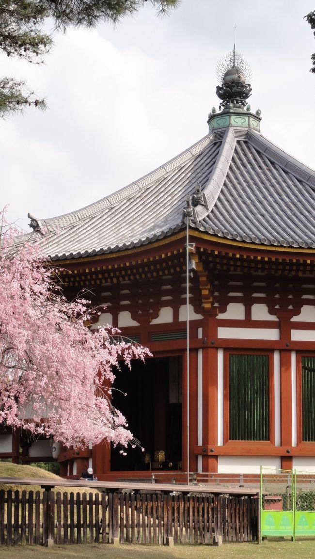 「堂の扉」　は常時　「閉ざされて」　おり、「大般若経転読会の日」　のみの　「開扉」　だそうです（特別展を除く）。