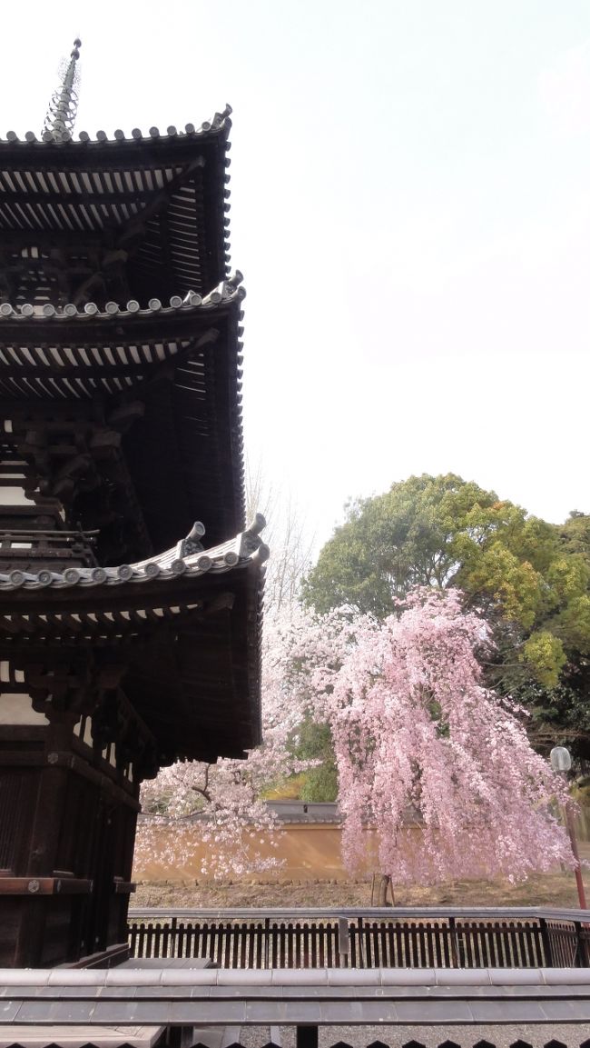 「三重塔」　は　「1143年」　に　「崇徳天皇の中宮・皇嘉門院」　により創建されました。<br /><br /><br />「１１８０年」　の大火による焼失後、まもなく再建された　「鎌倉建築」　と考えられてます（ウィキ）。<br /><br /><br />「北円堂」　とともに　「現存している建物の中」　で　「最も古い建物」　です。<br /><br /><br /><br /><br />