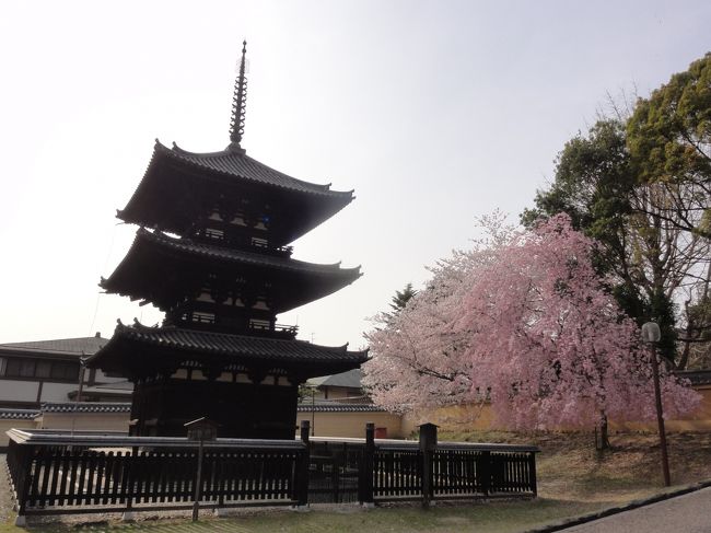 「高さ」　は　「１９．１ｍ」　。<br /><br /><br />「方三間（柱間）」　は　「４.８ｍ」　。<br /><br />