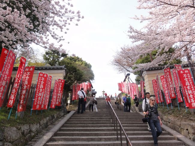 「興福寺」　を後にします。