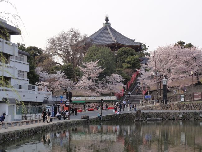 「猿渡池」　です。<br /><br /><br />中央の建物は　「南円堂」　です。