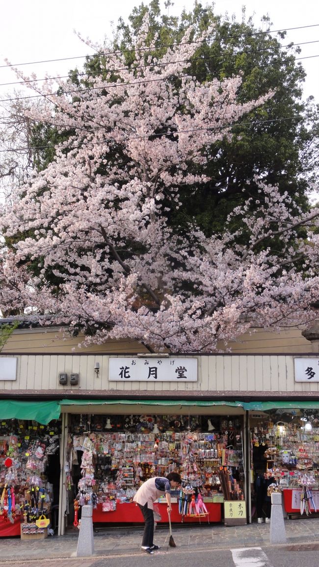ここから、<br /><br /><br />「ＪＲ奈良駅」　へは　「約１ｋｍ」　、<br /><br /><br />「近鉄奈良駅」　へは　「約５００ｍ」、<br /><br /><br />です。