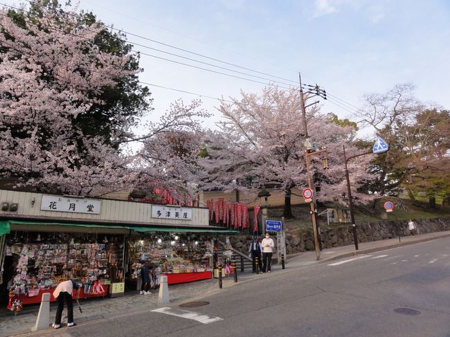 「三条通り」　です。