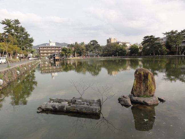 再び　「猿渡池」　です。<br /><br /><br />皆さんここで休憩しています。