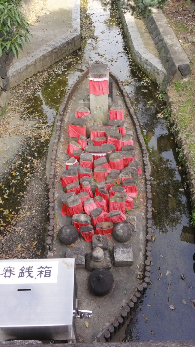 これは初めて見ました。<br /><br /><br />何でしょう？