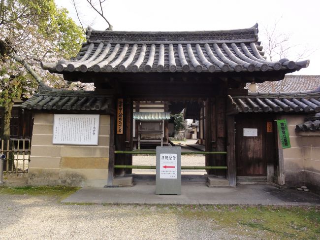 「側面」　に来てしまいました。