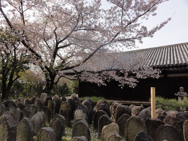 「極楽坊本堂」　と同様、部材や屋根瓦の一部には　「奈良時代」　のものが使われています。