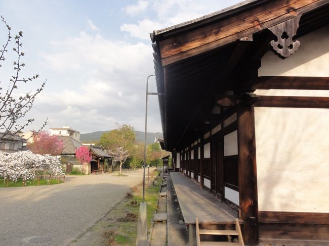 右の建物は　「極楽坊禅室」　です。