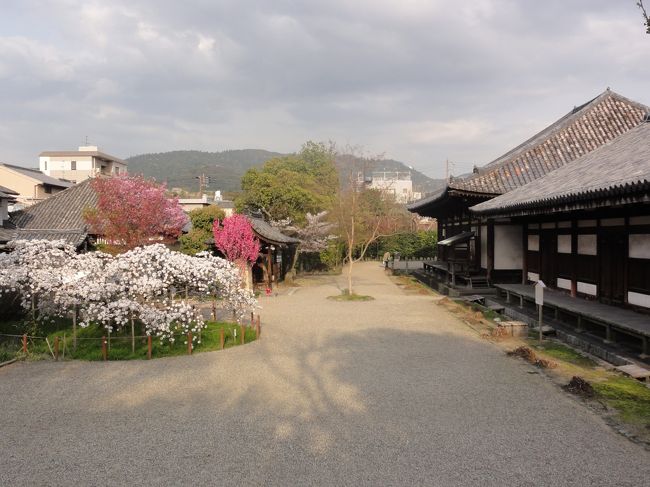 「石舞台」　に登り１枚。