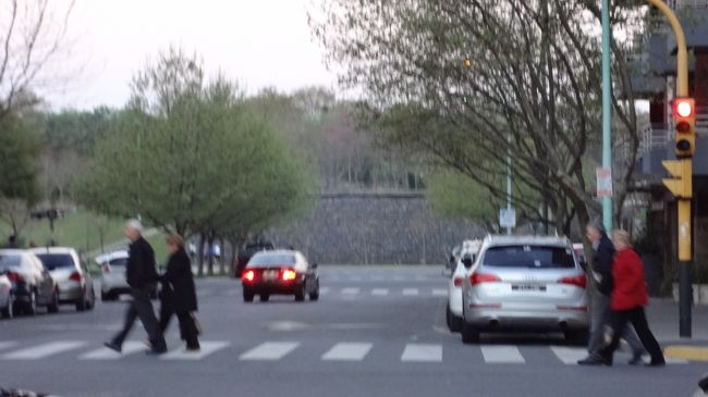 逆を向いたら、こちらは皇居っぽいじゃないですか。