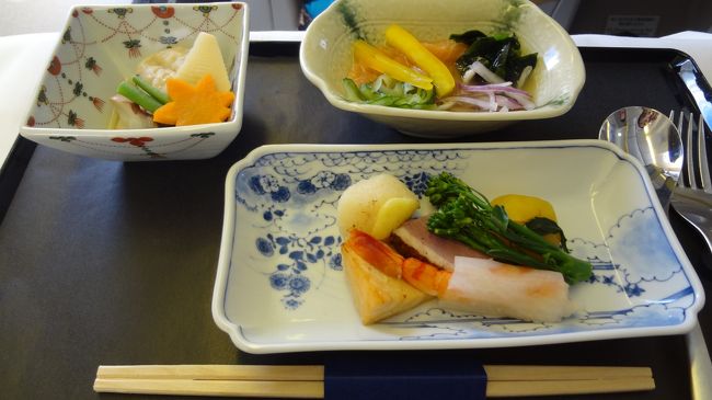 ブエノス→サンパウロ経由→ワシントン経由→成田。<br /><br />北米から東京へのANA機内食。<br />迷うことなく和食をチョイス。