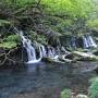 みちのくの秋を求めて　＜天空の楽園「月山」＞