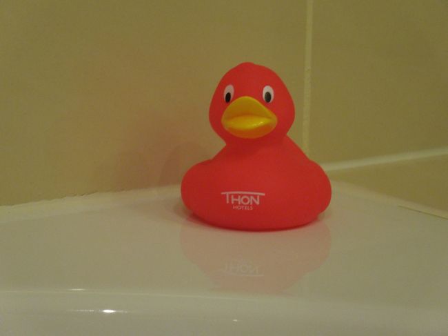 何故かこれがお風呂に置かれてありました・・・。<br />子供用ですよね。<br /><br />明日は、アルデンヌへ向かいます。