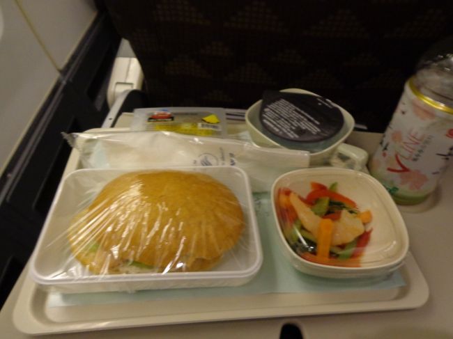 今回の旅で初めての機内食写真。パイナップルしか食べませんでしたが。