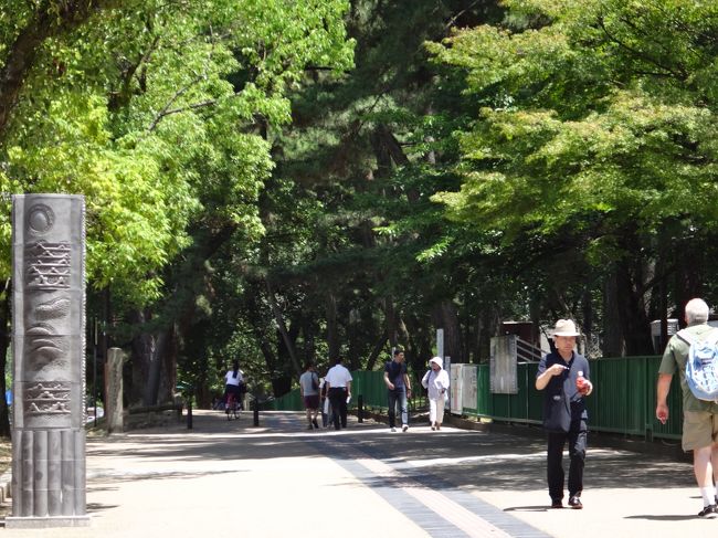 駅から　興福寺に向かう道です。<br />奈良はいつ来ても　空気が澄んでいるような気がします。<br />暑いですが、木の下は涼しくて　気持ちいいです